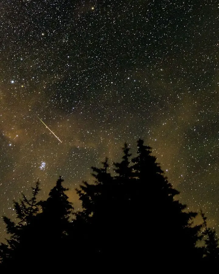 Un meteoro de las Perseidas cruzando un cielo lleno de estrellas sobre árboles oscuros
