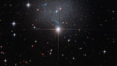 Hubble Space Telescope image of dwarf irregular galaxy ESO 490-017, a faint starry swarm in Canis Major behind brighter foreground stars with diffraction spikes.