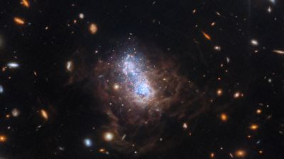 The extremely metal-poor blue compact dwarf galaxy I Zwicky 18, imaged by the James Webb Space Telescope