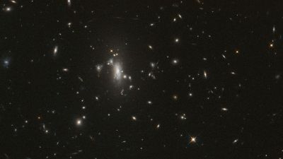 El cúmulo de galaxias MACS J0417 visto por el Hubble, una lente gravitacional que deforma y magnifica la luz de galaxias de fondo donde se espera la reaparición de la supernova Atenea.