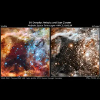 Hubble's Grand View of Star Birth