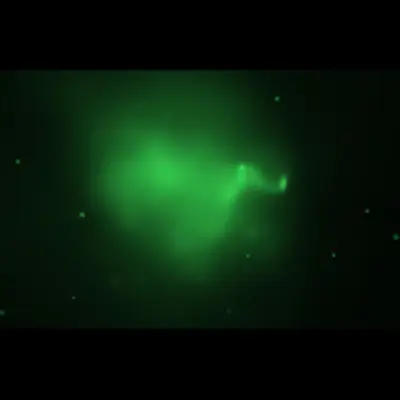 Galaxy Cluster Abell 520's Hot Gas (Chandra)
