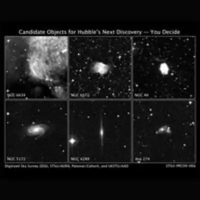 Candidate Objects for 'Hubble's Next Discovery – You Decide'