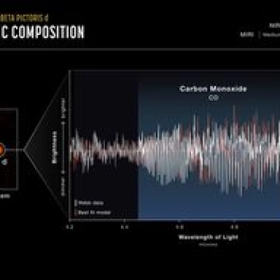 Beta Pictoris System (NIRSpec IFU Image and Spectrum)