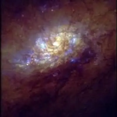 The Center of Barred Spiral Galaxy NGC 1808