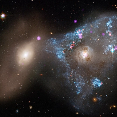 Arp 143 - Galaxy gallery: Sixteen galaxies including spirals, ellipticals, and irregulars.