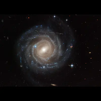 Wayward Asteroid Photobombs Hubble Snapshot of Galaxy UGC 12158