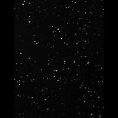 DSS Image