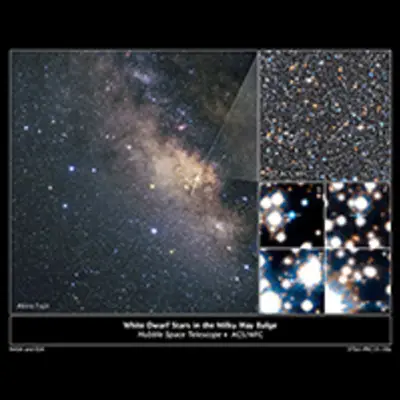 White Dwarf Stars in the Milky Way Bulge