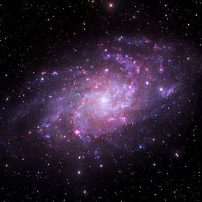 M33 - Galaxy gallery: Sixteen galaxies including spirals, ellipticals, and irregulars.