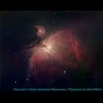 AAO Image of the Orion Nebula