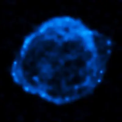 Chandra X-ray Observatory Data of Kepler's Supernova Remnant