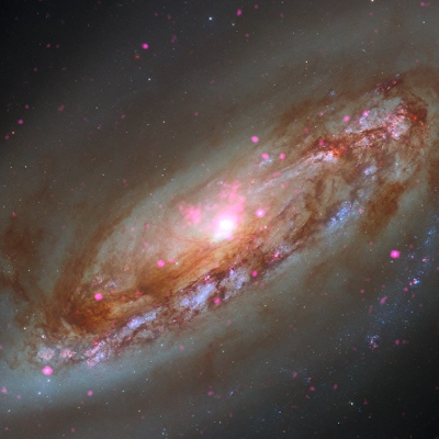 M90 - Galaxy gallery: Sixteen galaxies including spirals, ellipticals, and irregulars.