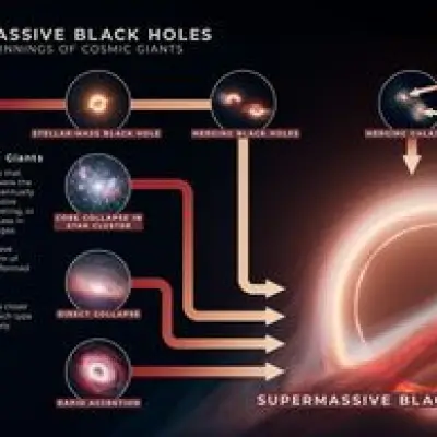 Supermassive Black Holes