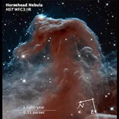 Compass and Scale Image for Horsehead Nebula