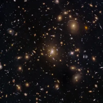 Hubble Sees Swarm of Galaxies