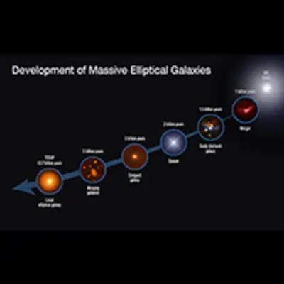 Development of Massive Elliptical Galaxies
