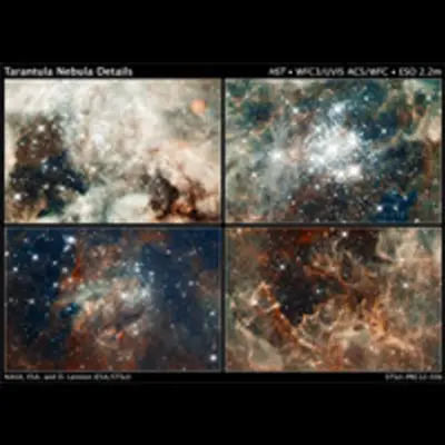 Close-up Images of 30 Doradus Features