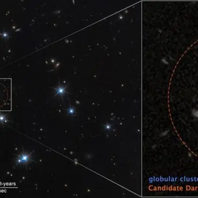 Dark Galaxy Near Perseus Cluster (Compass Image)