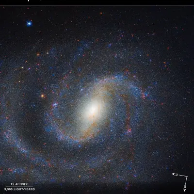NGC 1637 Compass Image