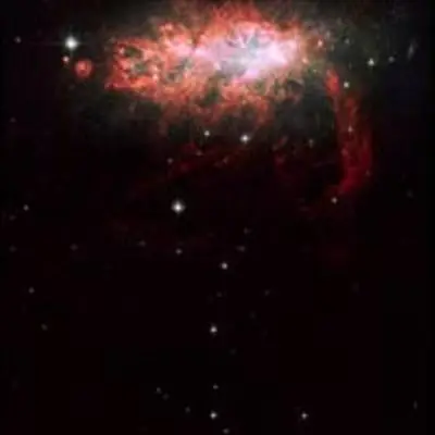 Large-Field Hubble Image of Starburst Galaxy NGC 1569