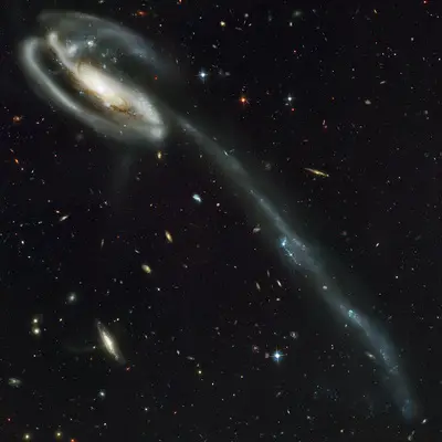 The Tadpole Galaxy: Distorted Victim of Cosmic Collision