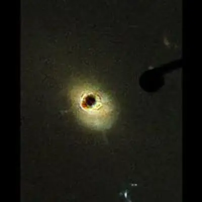 Nearby Quasar 3C 273