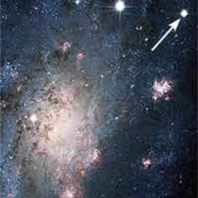 A Bright Supernova in the Nearby Galaxy NGC 2403
