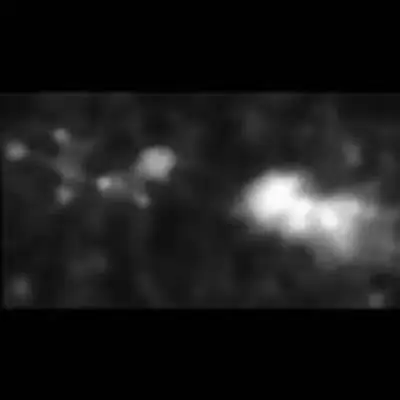 Radio Galaxy 4C41.17