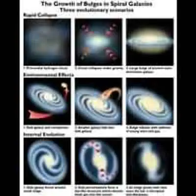 The Growth of Bulges in Spiral Galaxies