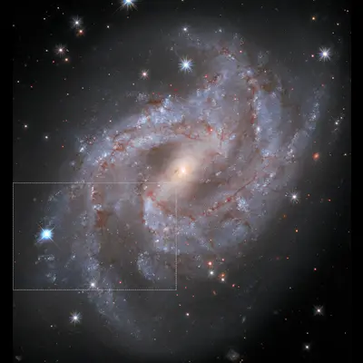 Supernova in NGC 2525