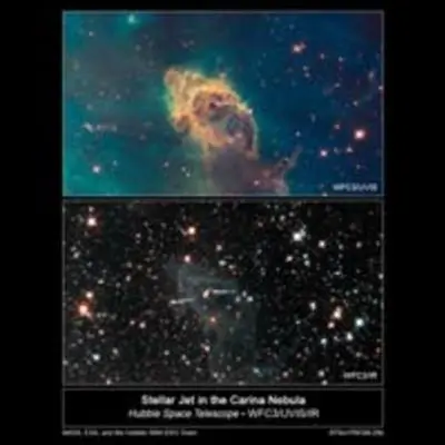 Stars Bursting to Life in the Chaotic Carina Nebula