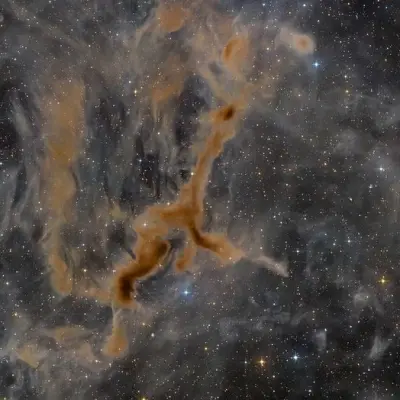 LDN 1295: The Giraffe Nebula