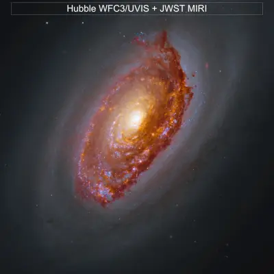 Webb's View of M64