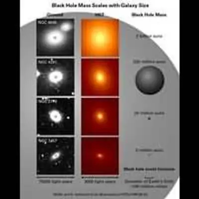 Black Holes: One Size Doesn't Fit All