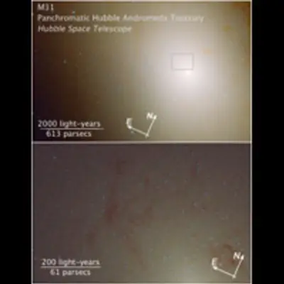 Compass and Scale Image of M31