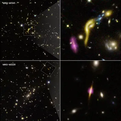 Gravitationally Lensed REQUIEM Galaxies