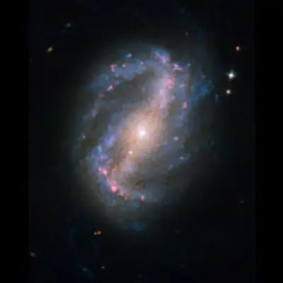 Barred Spiral Galaxy NGC 6217