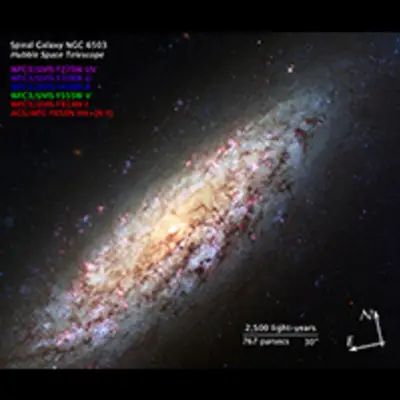Compass and Scale Image of NGC 6503