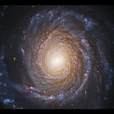 Spiral Galaxy NGC 3147