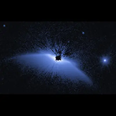 Circumstellar Disk - HD 61005