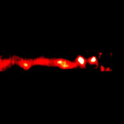 AU Microscopii Debris Disk (2014 VLT/SPHERE/IRDIS)