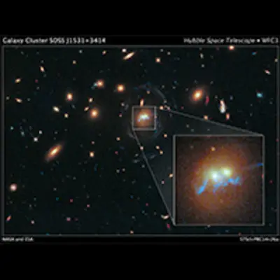Galaxy Cluster SDSS J1531+3414