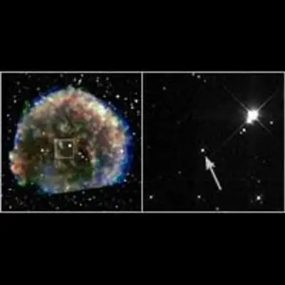 Hubble Views Suspected Stellar Survivor from 1572 A.D. Supernova Explosion