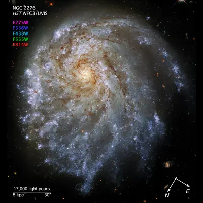 NGC 2276 Compass