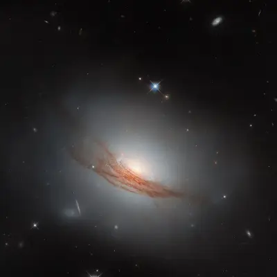 Hubble Sees Galaxy with Dark Rings in New Light