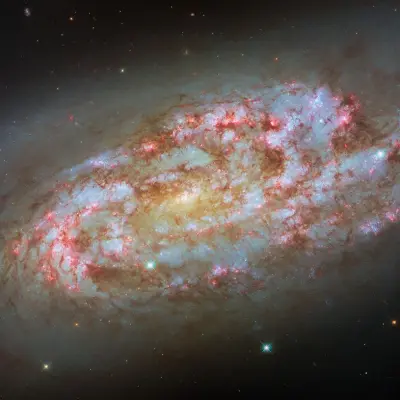 Hubble Spots a Storm of New Stars