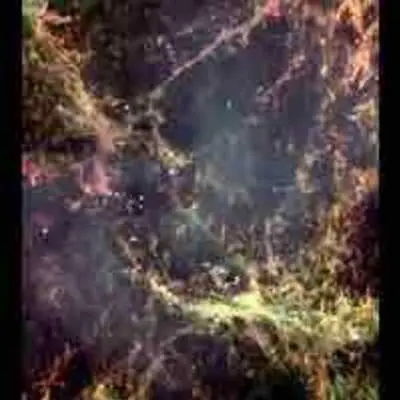 Peering into the Heart of the Crab Nebula