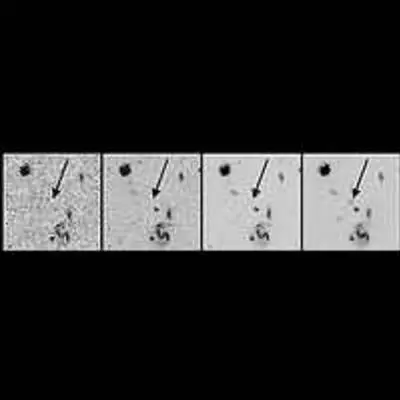 Distant Galaxy Identification Technique in Hubble Field
