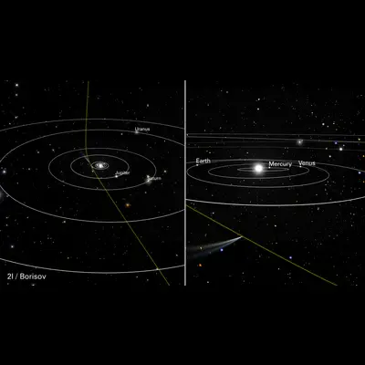 Artist's Illustration of Comet 2I/Borisov's Orbit (Annotated)